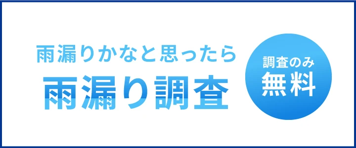 雨漏り調査